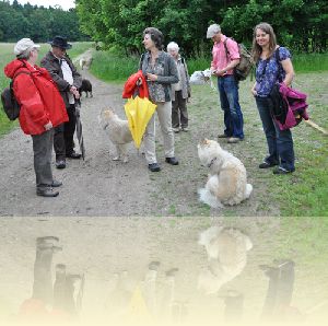 Spaziergang in Germering am 3. Juni 2012